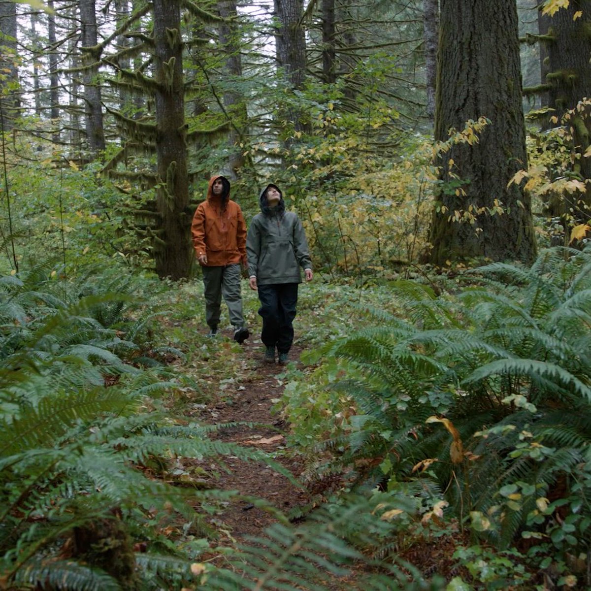 Cascade Crest Packable GTX Pants Dusty Olive Men|Women