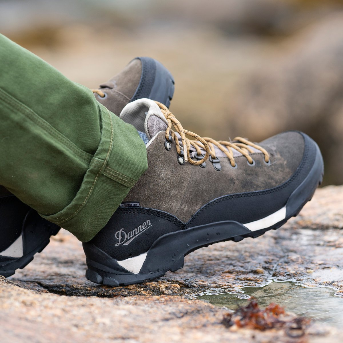 Panorama Low 4" Black Olive Men
