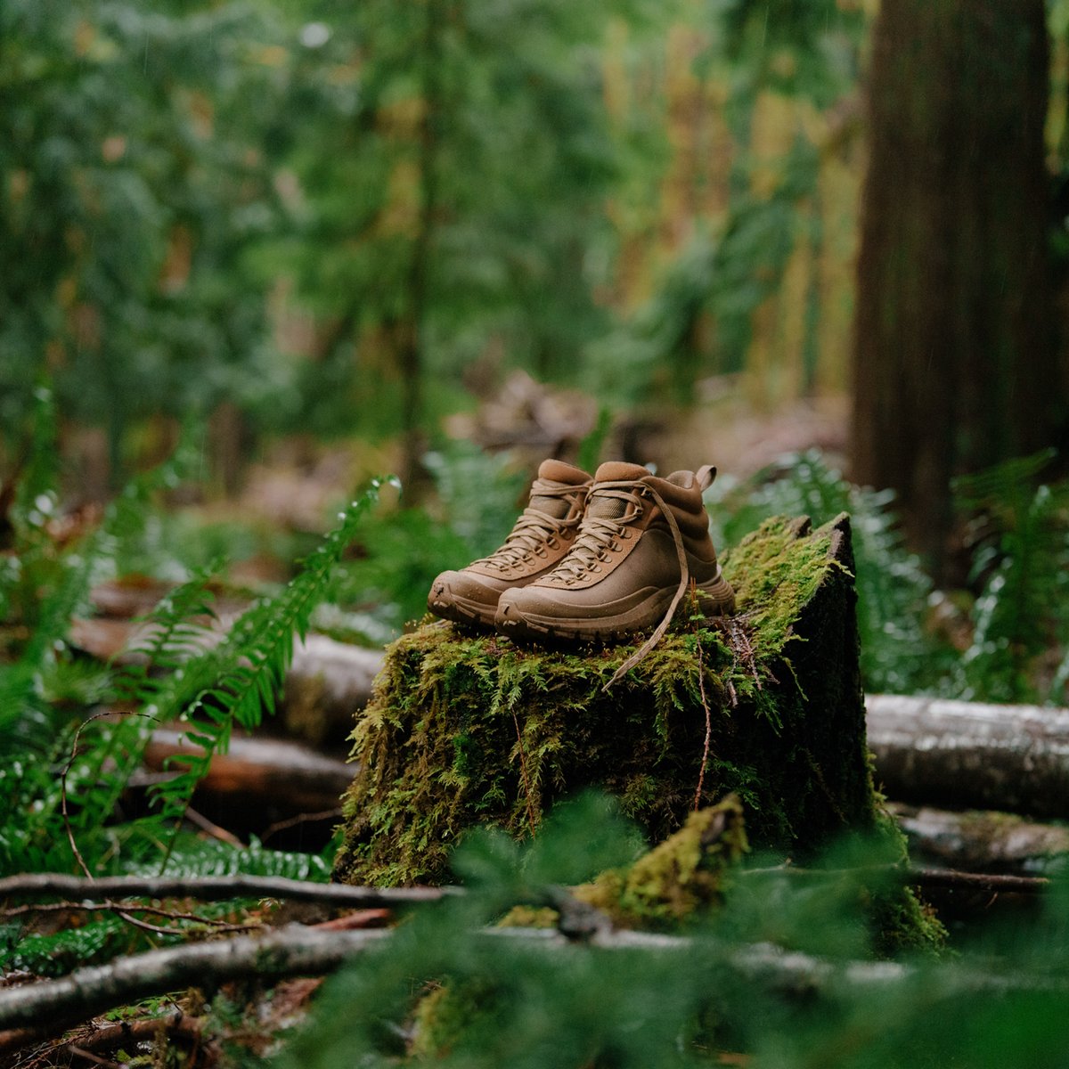 Trail Trainer Coyote Men