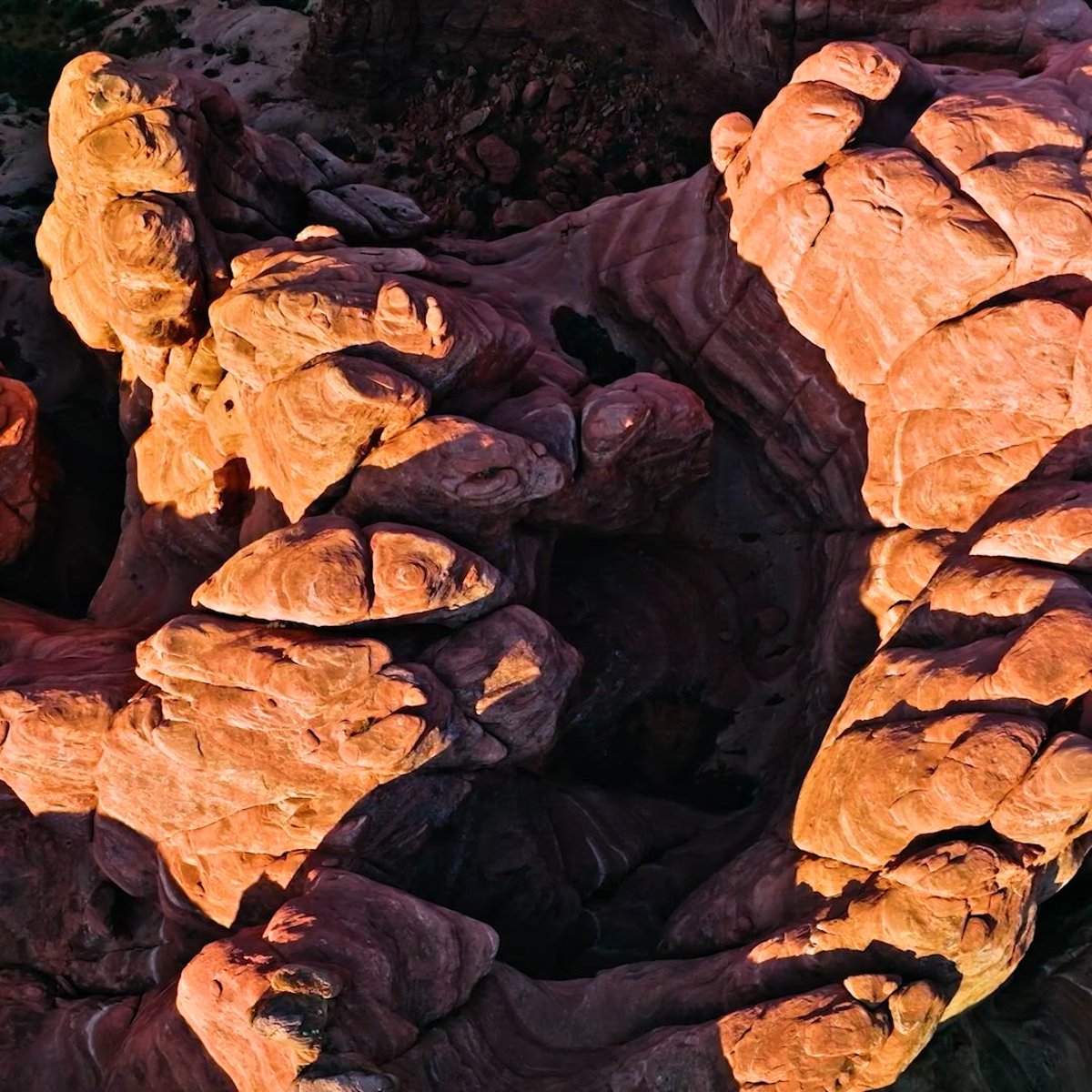 N45 Timberwolf Men