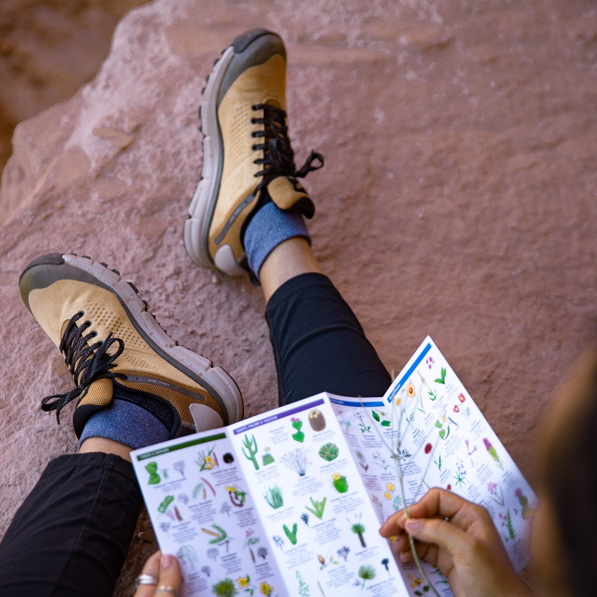 Trail 2650 GTX Prairie Sand/Gray Women